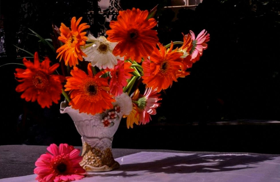 Commande de fleurs en ligne en France