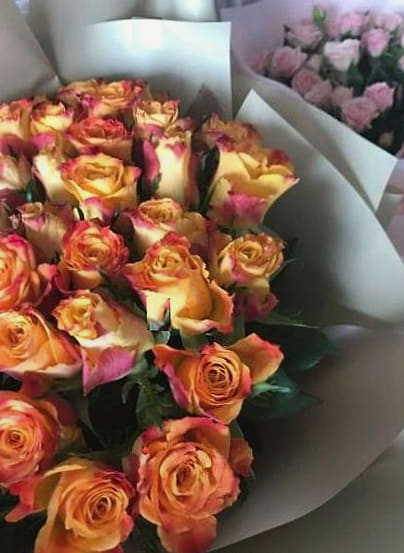 Newsletter fleurs