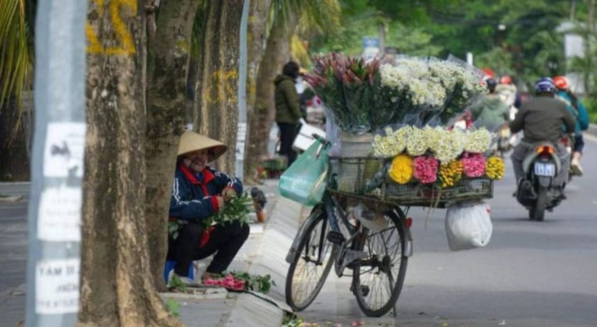 Fleuriste préparant un bouquet