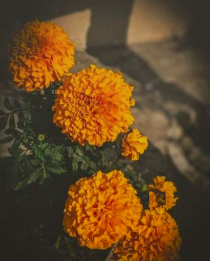 Exemple de bouquet 2