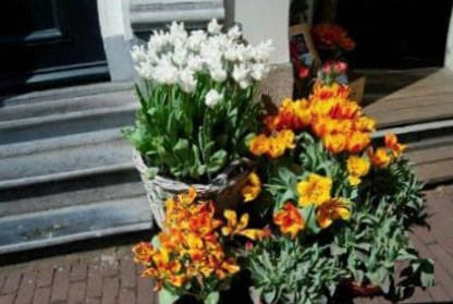 Bouquet saisonnier mélangé
