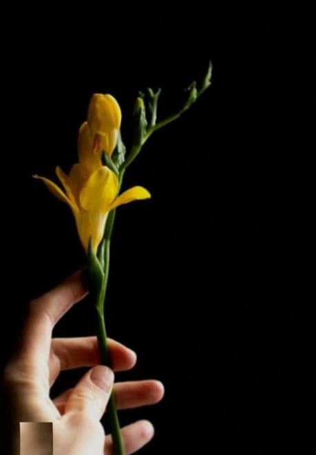 Bouquet printanier