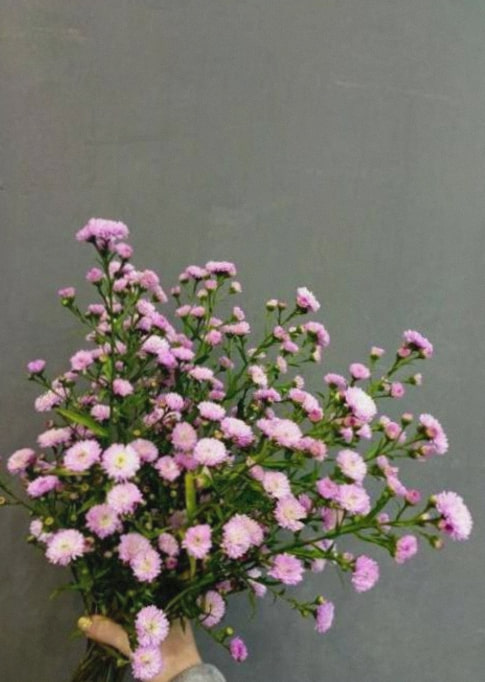 Photo de bouquet 3