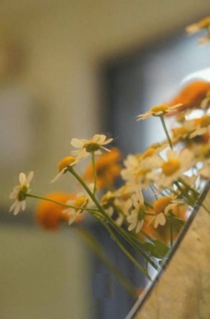 Bouquets de mariée