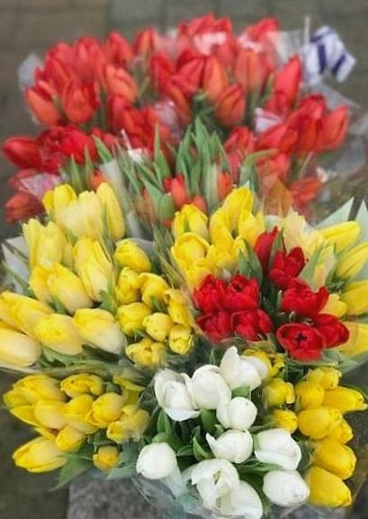 Installation florale pour lieu de réception